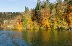 Promenade sur la rivière